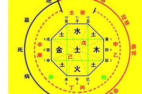 命理菌|生辰八字算命、五行喜用神查询（免费测算）